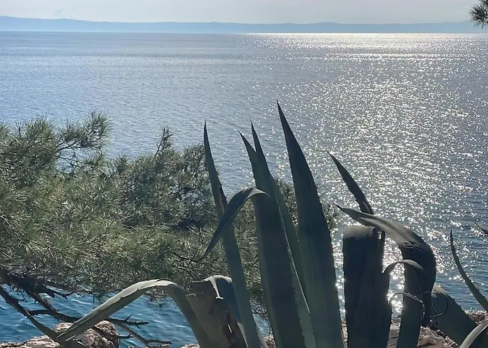 Villapetra Veliko Brdo וילה מאקרסקה